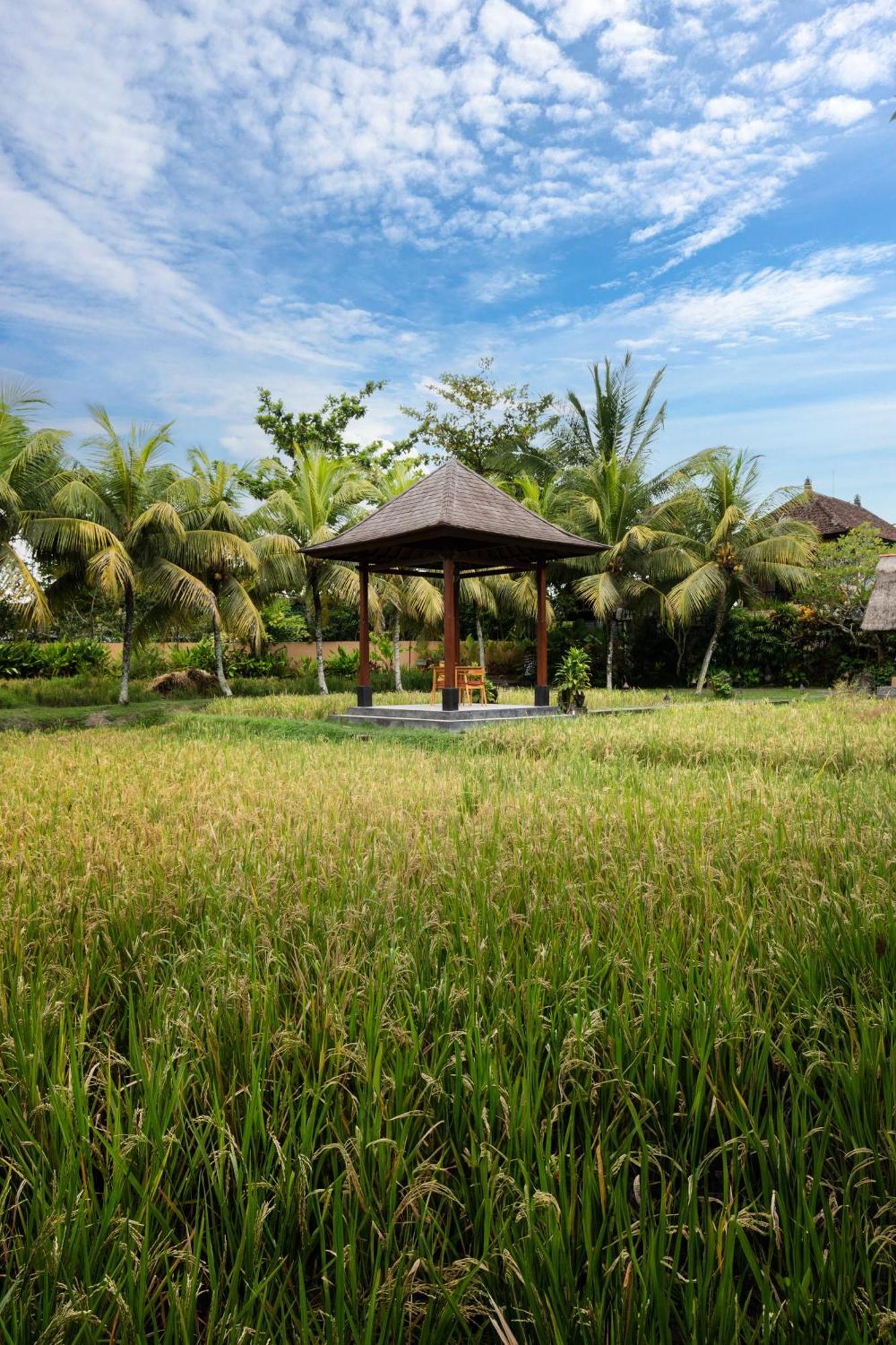 Svarga Bebek Villas Ubud  Exterior photo